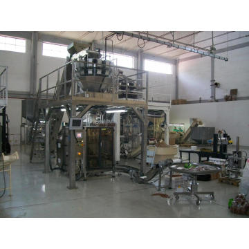 Automatic Vegetable Packing Machine System